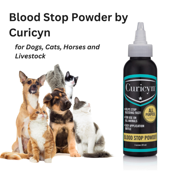 Curicyn Blood Stop Powder 3 oz Bottle